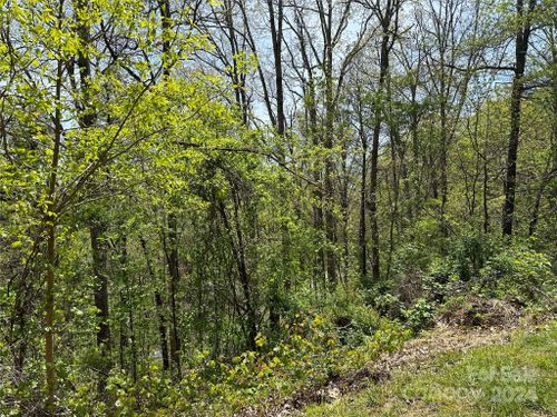 15-15 Waxwing Way, Asheville, NC, 28804-0025 | Card Image