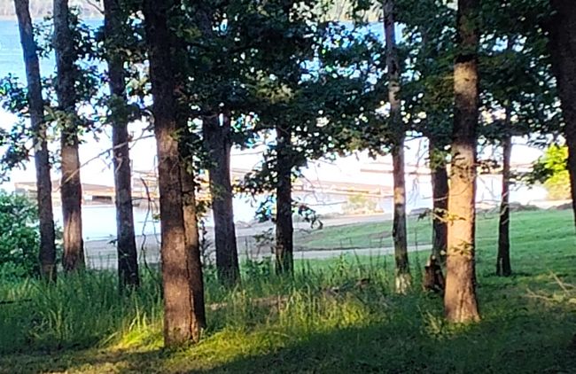 Lake | Image 4