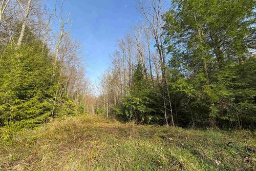 Lot 80 Gondola Ct, Davis, WV, 26260 | Card Image