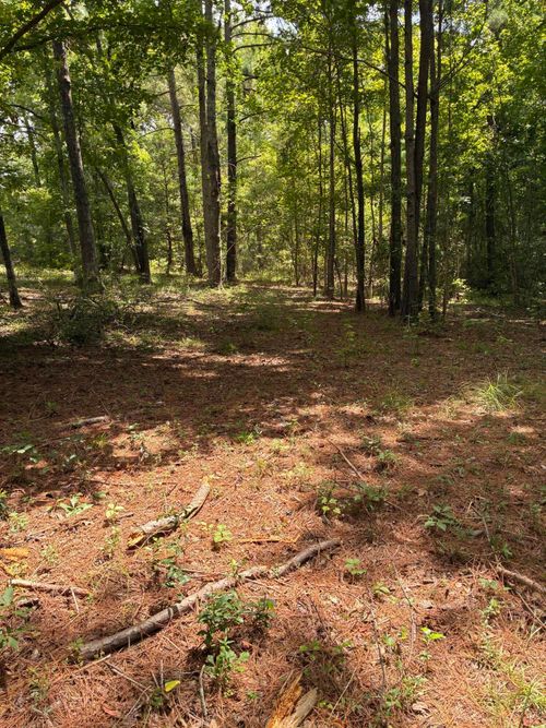 1061 Myrtle Drive, Santee, SC, 29142 | Card Image