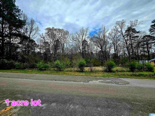 816 4th St Sw, REFORM, AL, 35481-2037 | Card Image