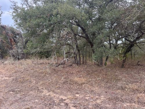 133 White Horse Ln, Stockdale, TX, 78160-7180 | Card Image