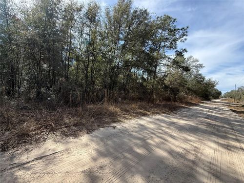 0000 Ne 82nd Pl, BRONSON, FL, 32621 | Card Image