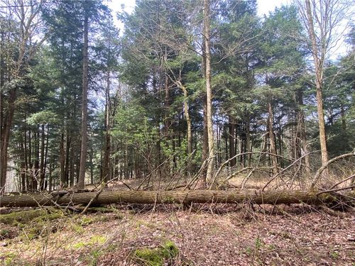 Lot A Piermott Ln, Hartwick, NY, 13348 | Card Image