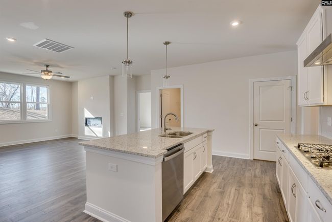 363 Chapin Place Way, House other with 4 bedrooms, 3 bathrooms and null parking in Chapin SC | Image 4