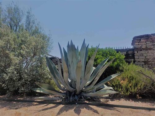 Lot 27 Sierra Bluff Bluff, Buchanan Dam, TX, 78609 | Card Image