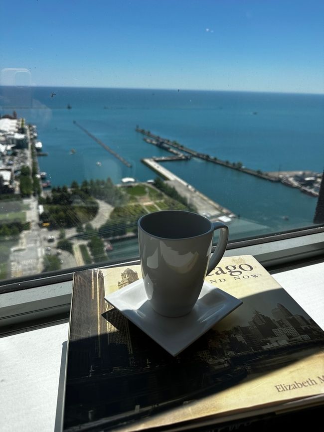 APT-4605 - 474 N Lake Shore Dr, Condo with 2 bedrooms, 2 bathrooms and 1 parking in CHICAGO IL | Image 9