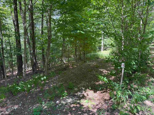 Lot 11 Kumbrabow Rd, Huttonsville, WV, 26273 | Card Image