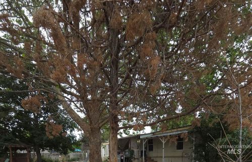 15919 Sundown Dr, Caldwell, ID, 83607-8460 | Card Image