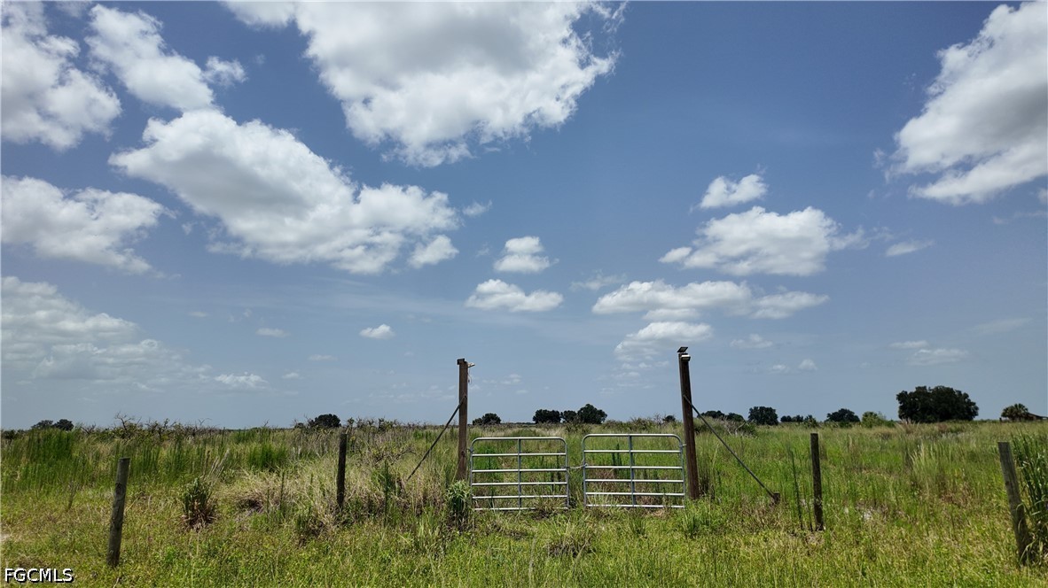 Land in Punta Gorda 2