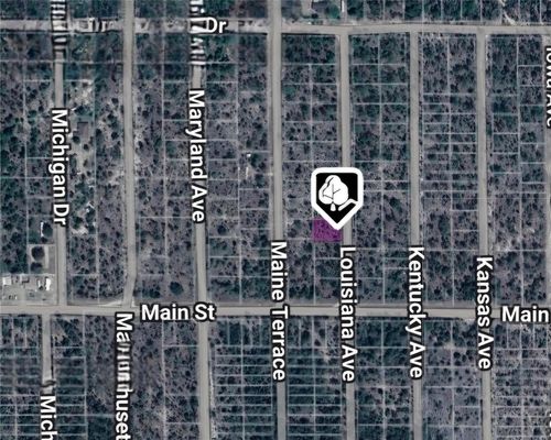 LOT 19 AND 20 Louisiana Avenue, Hawthorne, FL, 32640 | Card Image