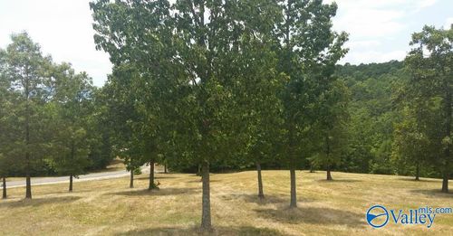 47 County Road 767, Cedar Bluff, AL, 35959-3216 | Card Image