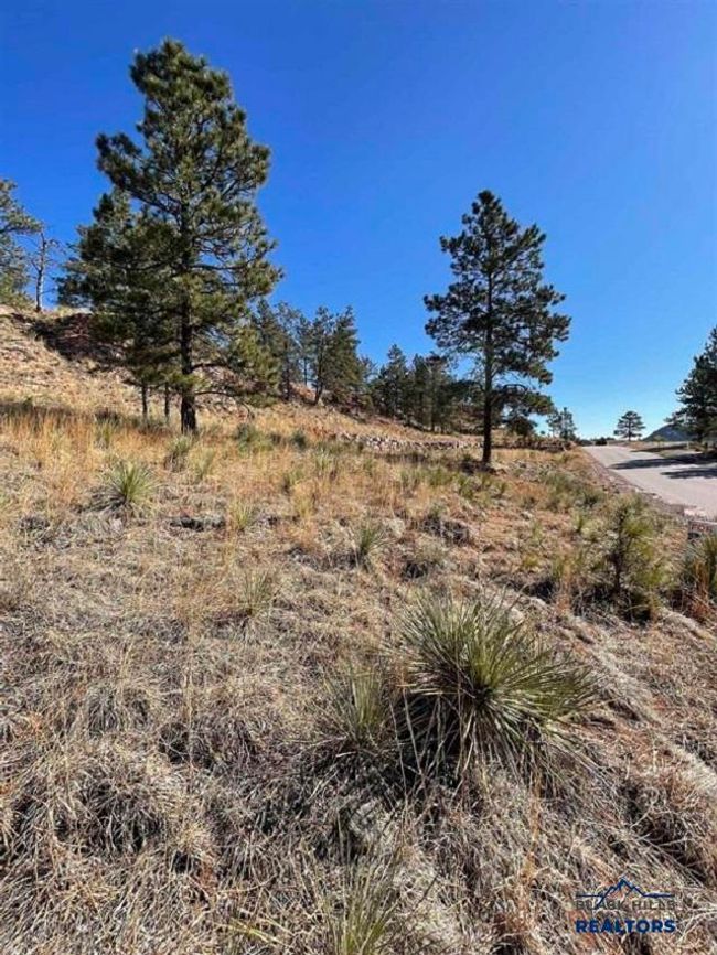 421 Meadowlark Dr, Home with 0 bedrooms, 0 bathrooms and null parking in Hot Springs SD | Image 8