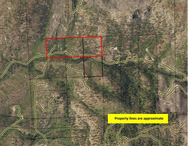 5069 J Rail Canyon Rd, Home with 0 bedrooms, 0 bathrooms and null parking in Springdale WA | Image 13