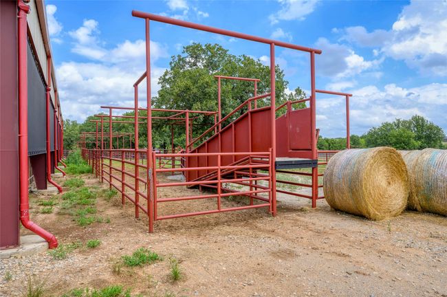 Cattle chute and loading lane and cattle working pens | Image 19