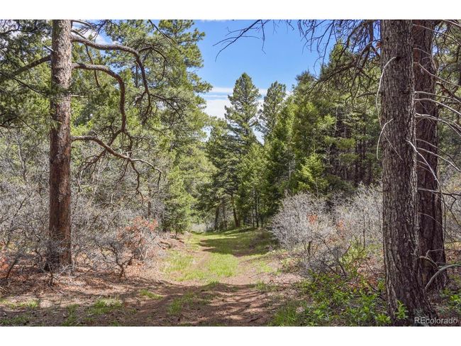 15947 S Perry Park Rd, House other with 3 bedrooms, 1 bathrooms and null parking in Palmer Lake CO | Image 10