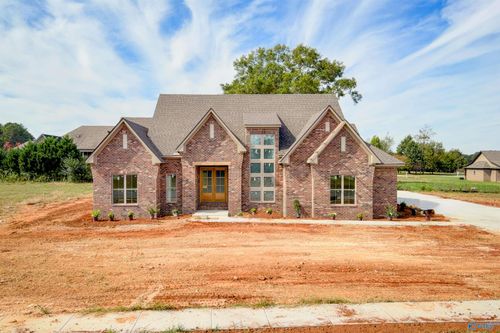 Lot 3 Newcastle Lane, Decatur, AL, 35603 | Card Image