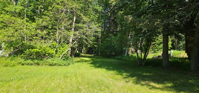 View of yard | Image 21