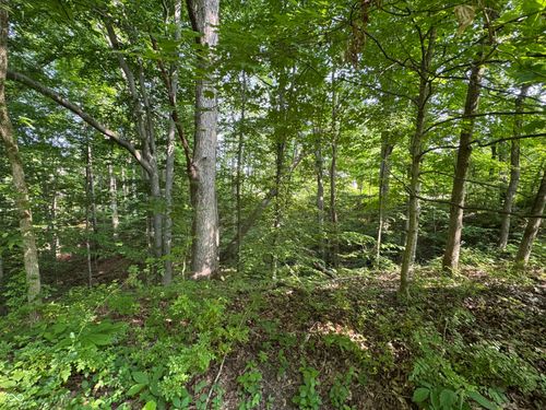 222 Pea Ridge Rd, Spencer, IN, 47460-7469 | Card Image