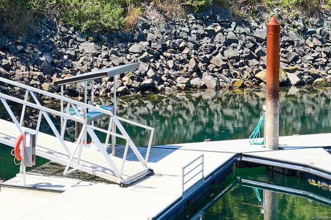 Fish cleaning station | Image 43