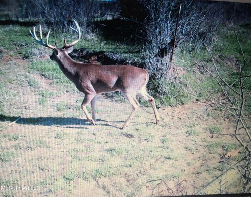 001 Farr Rd, Bolton, MS, 39041 | Card Image