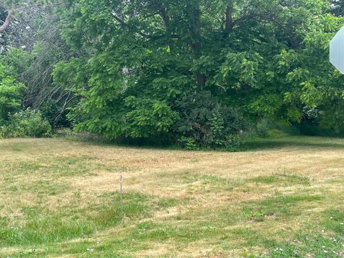 vl E Maple, St Charles Village, MI, 48655 | Card Image