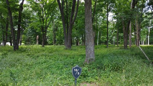 Lot 10 Hunter Circle, ACKLEY, WI, 54409 | Card Image