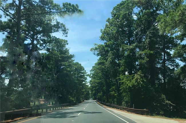 Bastrop State Park is just a short and scenic drive down the road. | Image 10