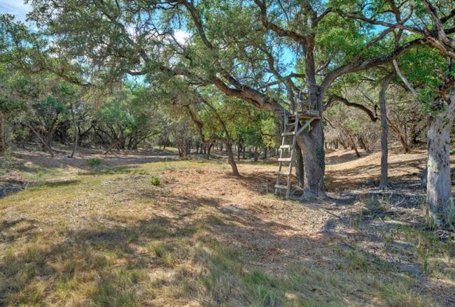 0000 Gibson Best Rd, Home with 12 bedrooms, 9 bathrooms and null parking in Hye TX | Image 32