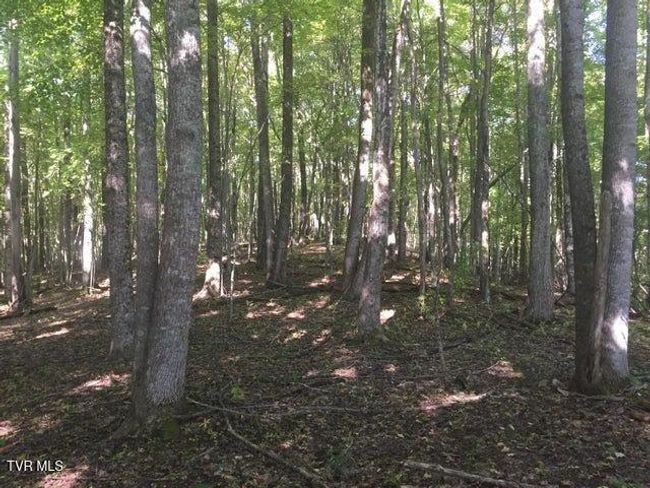 00 Heaton St, Home with 0 bedrooms, 0 bathrooms and null parking in Roan Mountain TN | Image 12