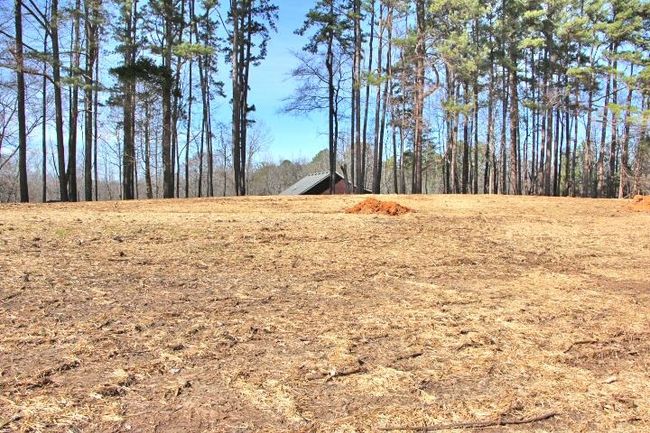 Lot 80 &amp; 81 Cherokee Road, Home with 0 bedrooms, 0 bathrooms and null parking in Lucas KY | Image 4