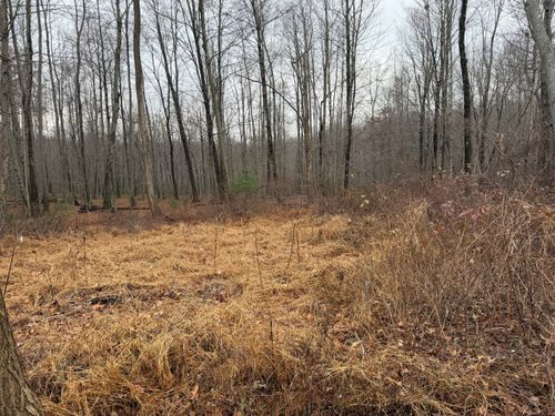 312 Merrow Rd, Tolland, CT, 06084-3917 | Card Image