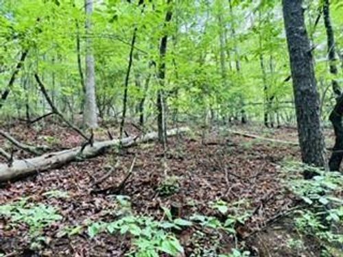 Lot 107 Pine Terrace Cir, Blue Ridge, GA, 30513-3666 | Card Image