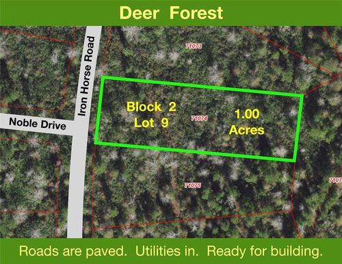 242 Iron Horse Rd, New Waverly, TX, 77358 | Card Image