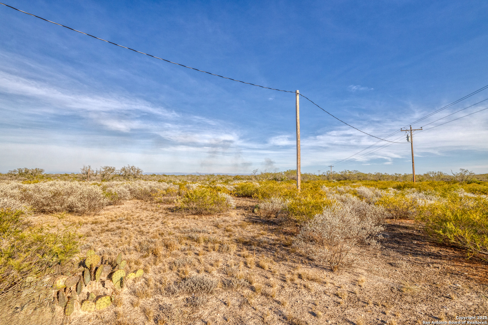 Land in Uvalde 3