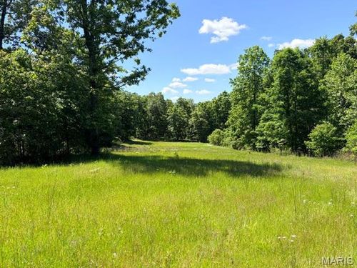 1 Ripley Route V, Doniphan, MO, 63935 | Card Image