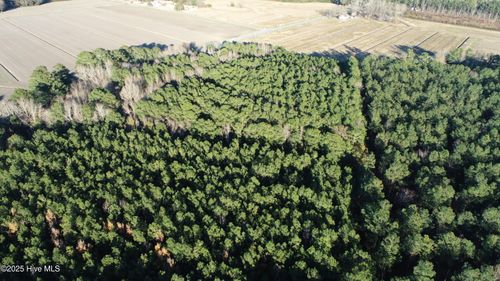 0 Us Highway 264 E, Belhaven, NC, 27810 | Card Image