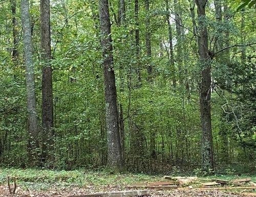 2247 Holly Ct, Cumming, GA, 30041-7012 | Card Image