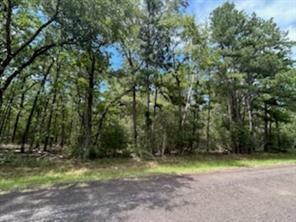 Land in Huntsville 2