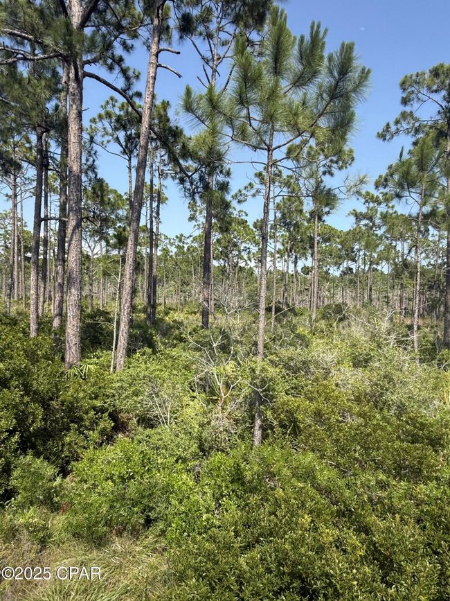 Lot 6 E Highway 98, Home with 0 bedrooms, 0 bathrooms and null parking in Port St. Joe FL | Image 9