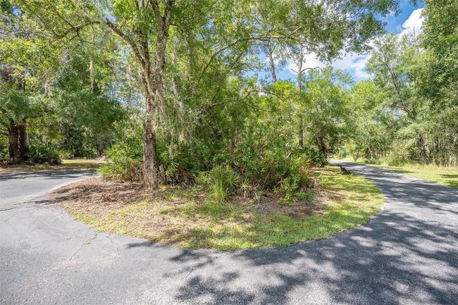 11933 Pasco Trails Blvd, House other with 4 bedrooms, 3 bathrooms and null parking in SPRING HILL FL | Image 41