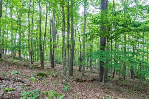 126 Mountainside Rd, Davis, WV, 26260-8121 | Card Image