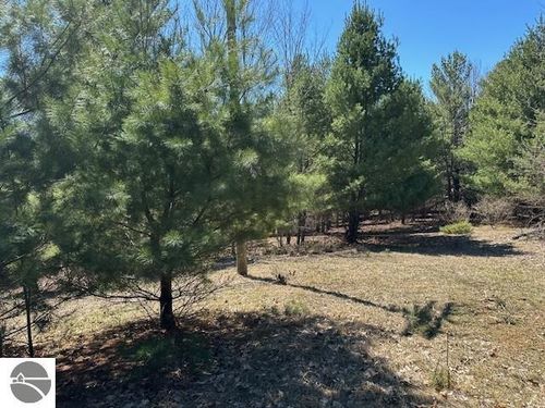 Lots B & C Se Torch Lake Drive, Bellaire, MI, 49615 | Card Image