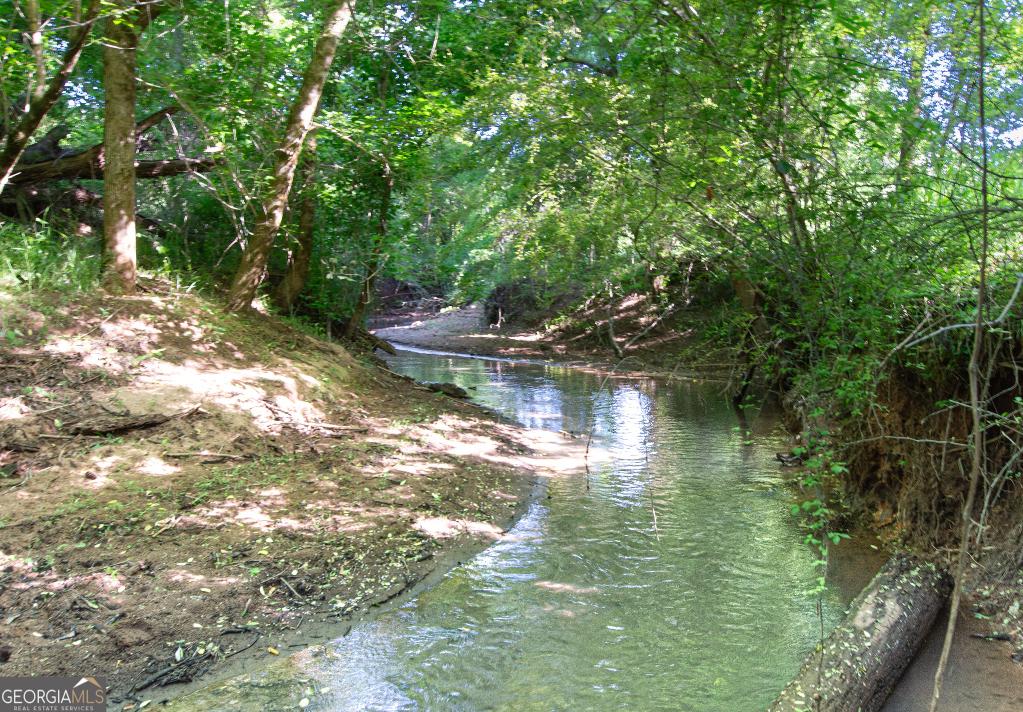 Land in Monticello 5
