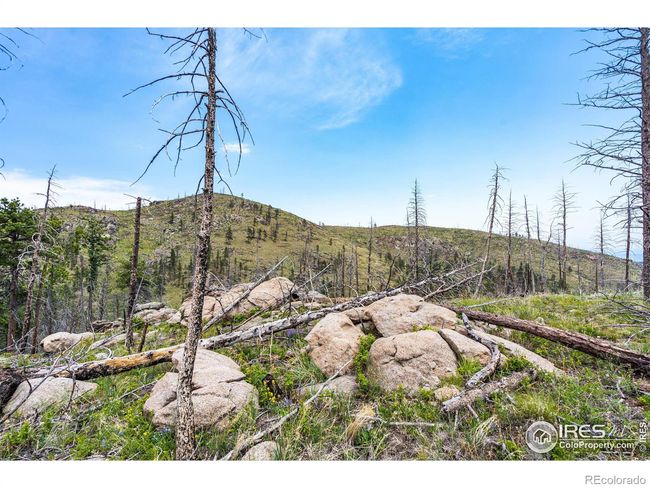 2384 Rist Creek Rd, Home with 0 bedrooms, 0 bathrooms and null parking in Bellvue CO | Image 24