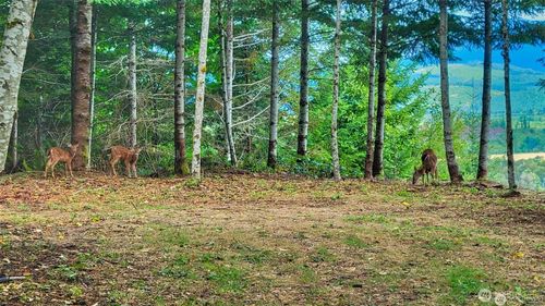 2 Skinner Rd, Randle, WA, 98377 | Card Image