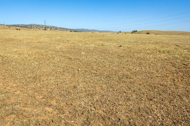 0 S Gulch Rd, Home with 0 bedrooms, 0 bathrooms and null parking in Valley Springs CA | Image 13