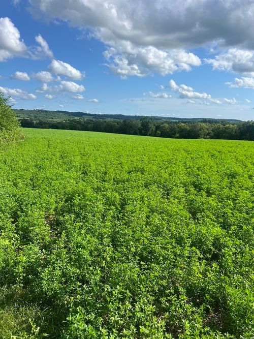 000 S Rush Creek Rd, Stockton, IL, 61085 | Card Image