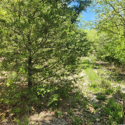 L-61 B-1 Kayenta Circle, Cherokee Village, AR, 72529 | Card Image