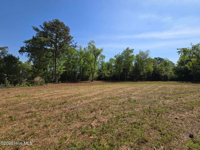 1254 Shenandoah St, Home with 0 bedrooms, 0 bathrooms and null parking in Wilmington NC | Image 19